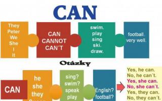 Can e Could: regole d'uso