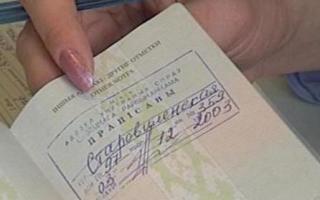 Rilasciamo un passaporto per un bambino Quando è necessario cambiare un passaporto in Bielorussia