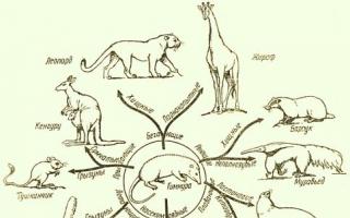 Kako je Darwin došao do prirodne selekcije